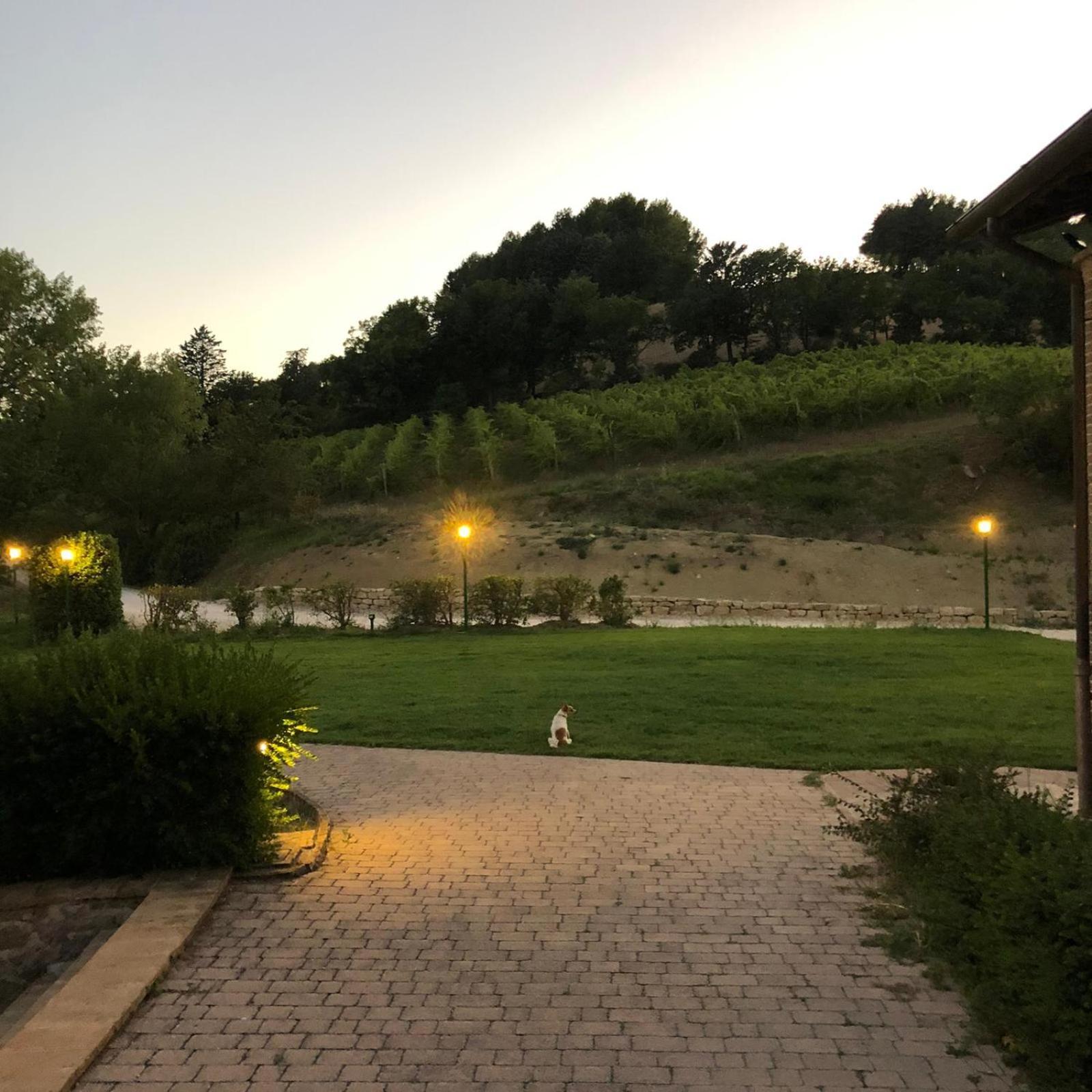 Aparthotel Re Artù Assisi Country Lifestyle Extérieur photo